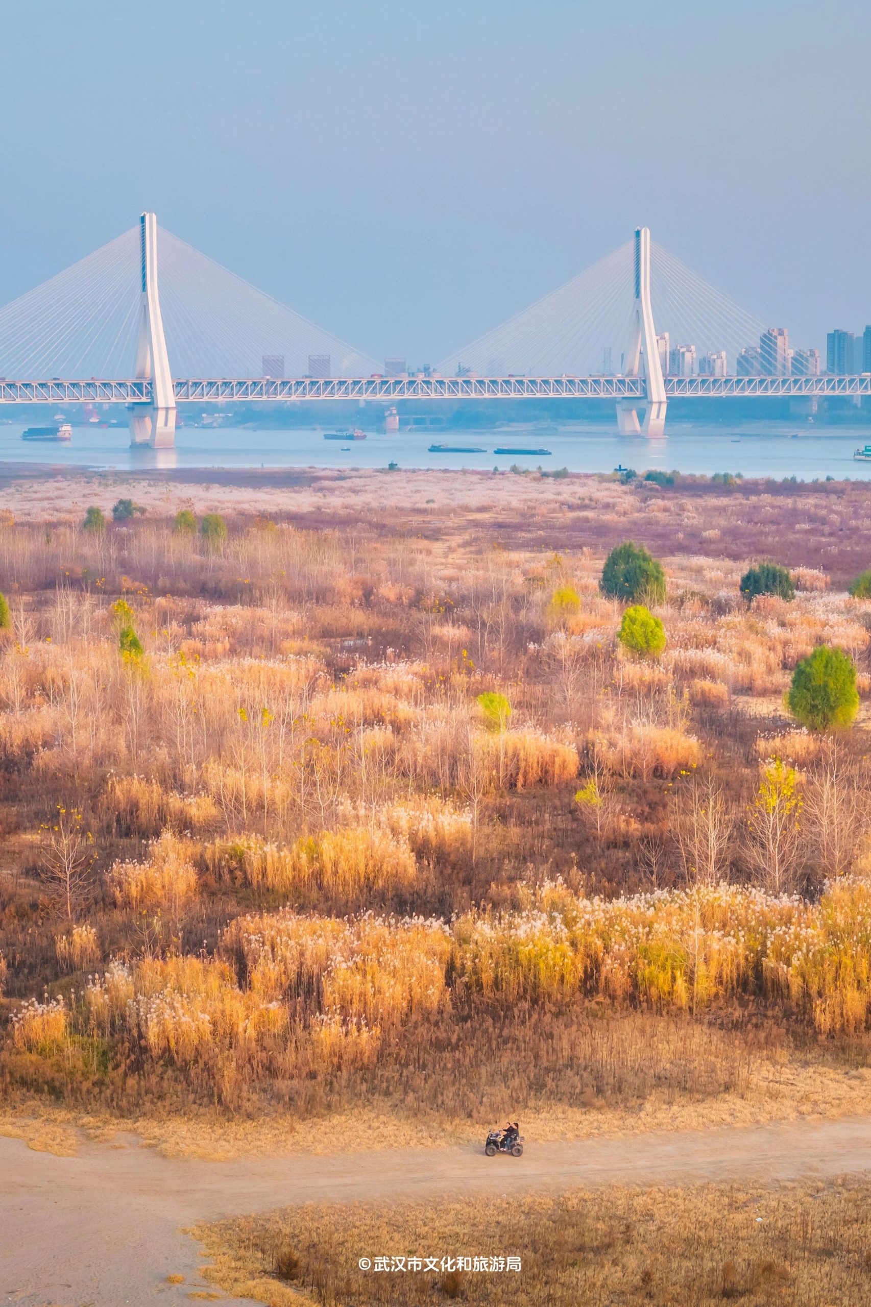 图片[42]-沙漠踏雪，只在武汉，最佳观赏期到了！-AI Express News