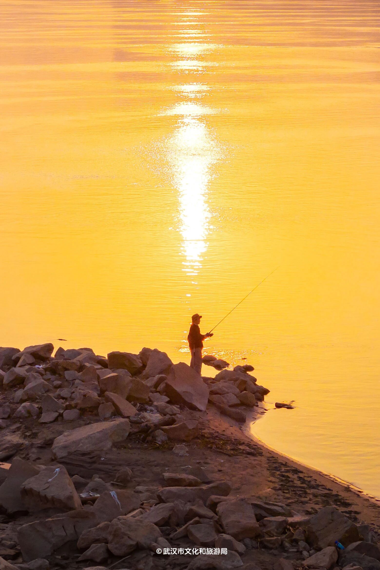 图片[43]-沙漠踏雪，只在武汉，最佳观赏期到了！-AI Express News