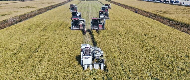 图片[8]-Nature重磅：智能的尽头是算力！谷歌大佬承认「预测下一个词即智能」-AI Express News