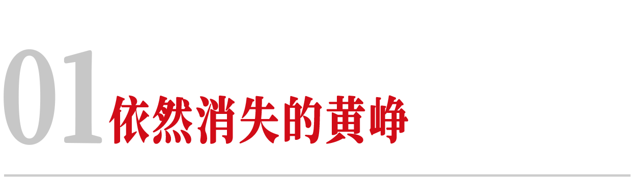 图片[4]-黄峥去哪儿了-AI Express News