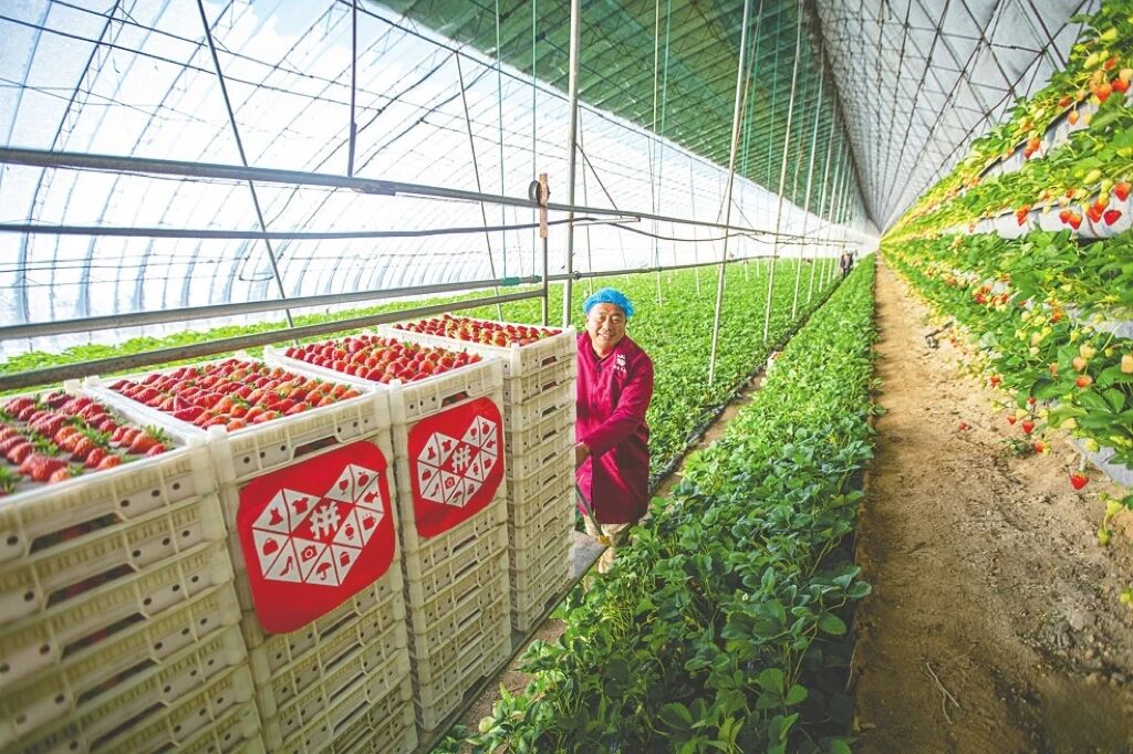 图片[9]-黄峥去哪儿了-AI Express News