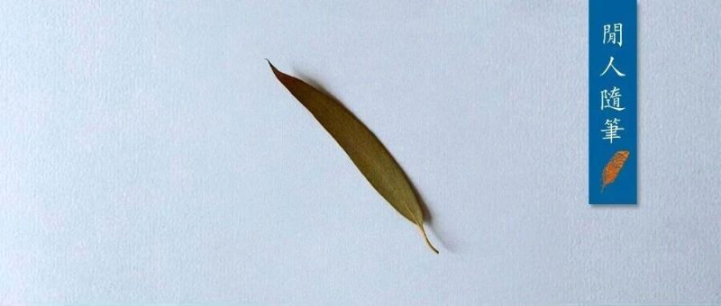 “审美”，藏着一个人真正的人生层次-AI Express News