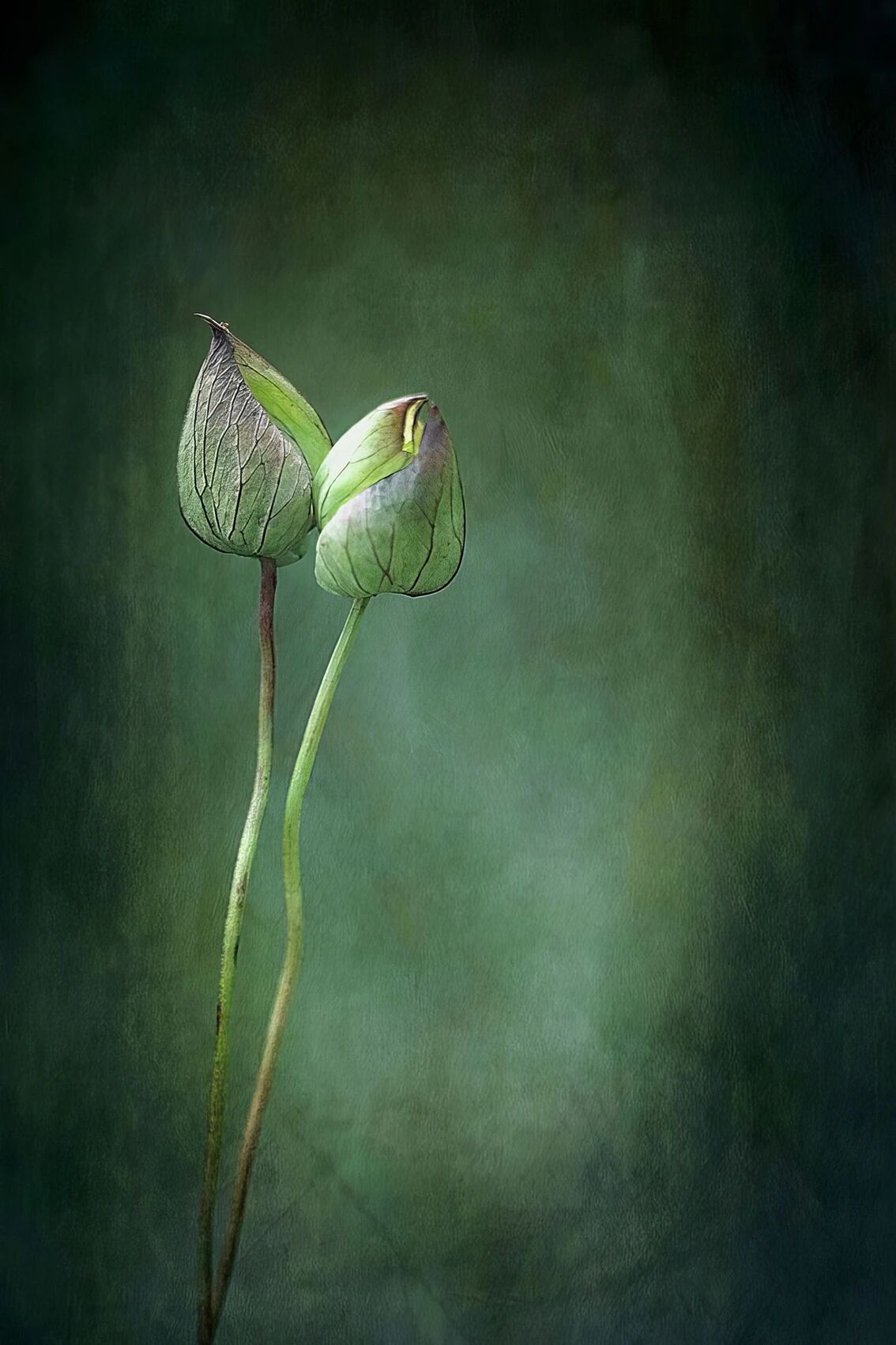 图片[2]-“审美”，藏着一个人真正的人生层次-AI Express News