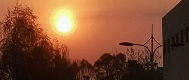 独木之思：论孤独个体的精神困境与超越-AI Express News