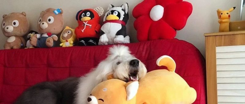 从AI小工具到企业级AI产品，道阻且长-AI Express News