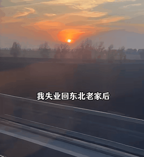 图片[3]-东北小伙“北范南调”离职回老家给朋友送饭，竟然狂揽千万点赞上亿播放？-AI Express News