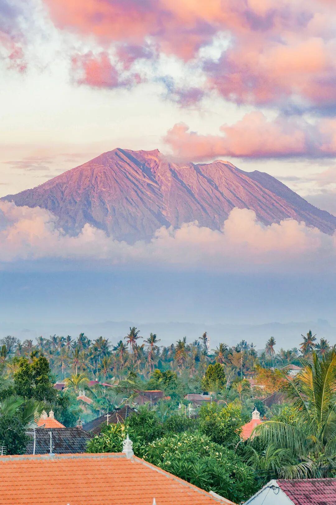 图片[18]-健身房不香了，打工人花800多到巴厘岛上「体校」-AI Express News