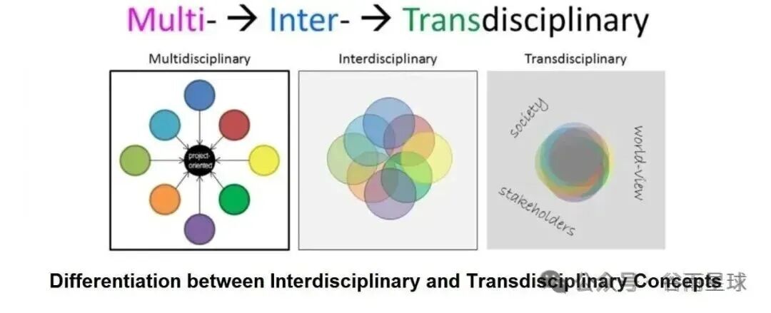 图片[2]-8大藤校全部出局，新出的「跨学科大学排名」有点意思-AI Express News