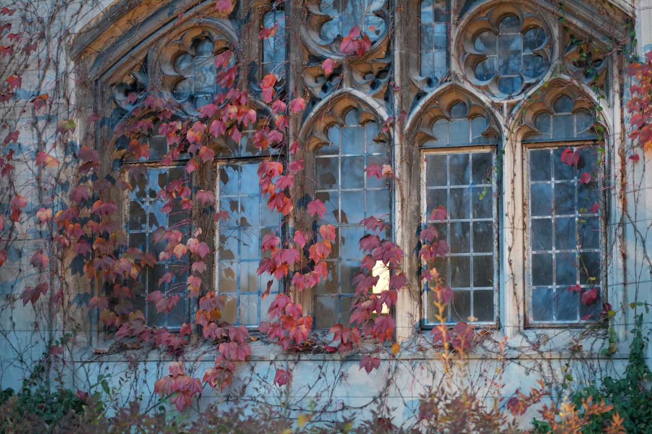 图片[2]-当大学教育不再促进阶层流动而是固化阶层，大学的宗旨是什么？“内在价值”与“交换价值”-AI Express News