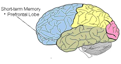 图片[18]-谷歌祭出Transformer杀手，8年首次大突破！掌门人划出AGI死线-AI Express News