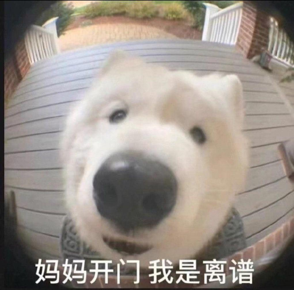 图片[3]-斯坦福人均≈0.1张GPU！学术界算力遭「屠杀」，LeCun急了-AI Express News