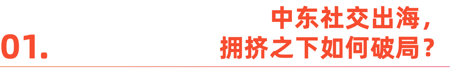 图片[3]-社交出海，破解“三个开罗”迷思-AI Express News