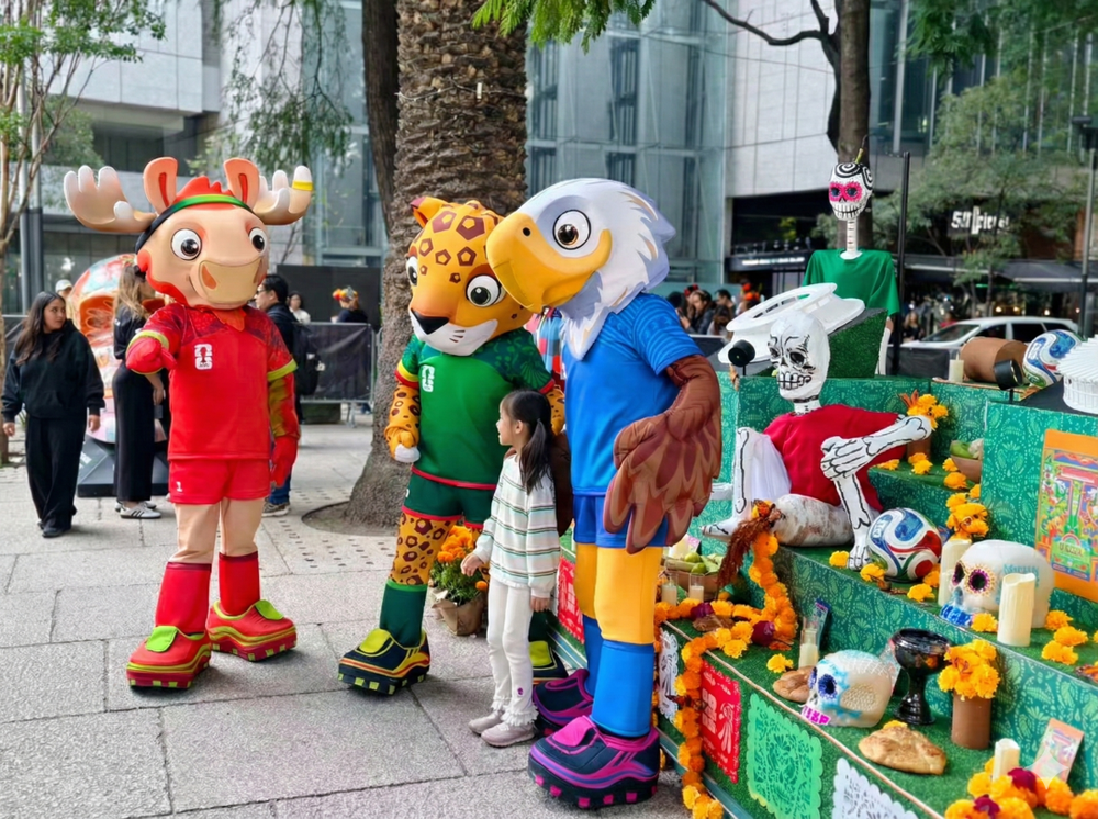 图片[4]-为什么中国人对世界杯不感冒了？-AI Express News