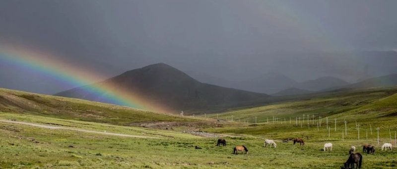 不只是育人目标，更是教学指标｜把“学霸四特质”落实到每节课-AI Express News