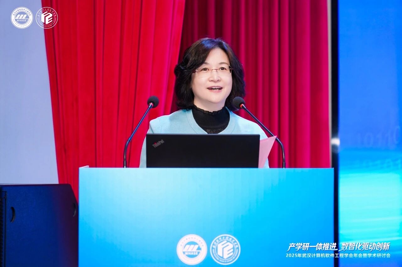 图片[10]-我校承办2025年武汉计算机软件工程学会年会暨学术研讨会-AI Express News
