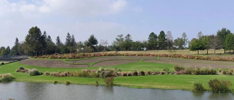 都没有几个大学生听课，我怎么还能讲得下去？-AI Express News