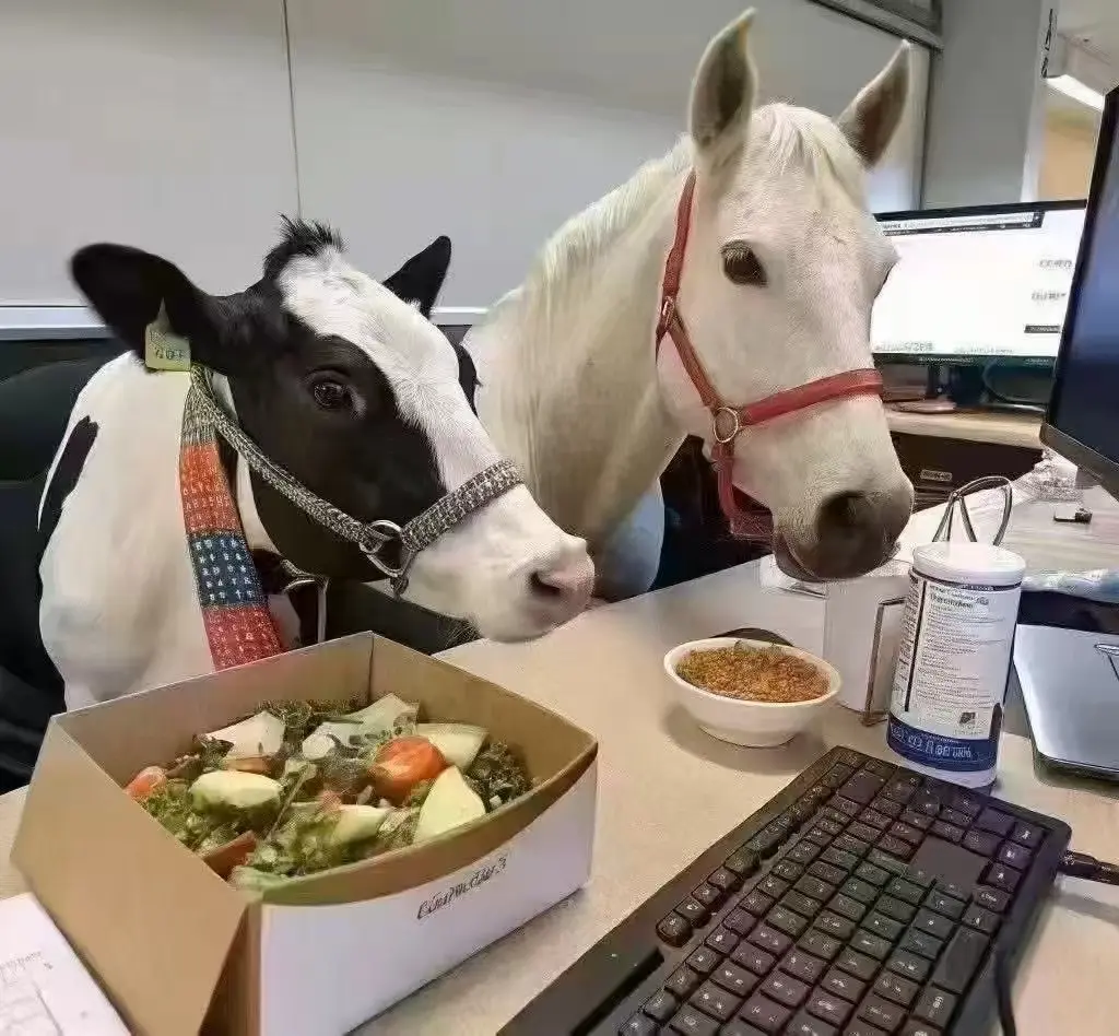 图片[17]-GPT-5.2 来了！首个「专家级」AI 复仇成功，牛马打工人终于得救了-AI Express News