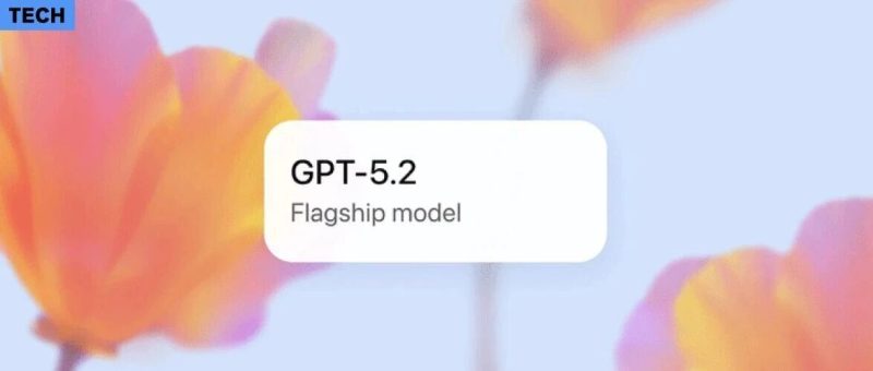 OpenAI 两手准备：「成人模式」约定明年初，干活模型 GPT 5.2 先发布-AI Express News