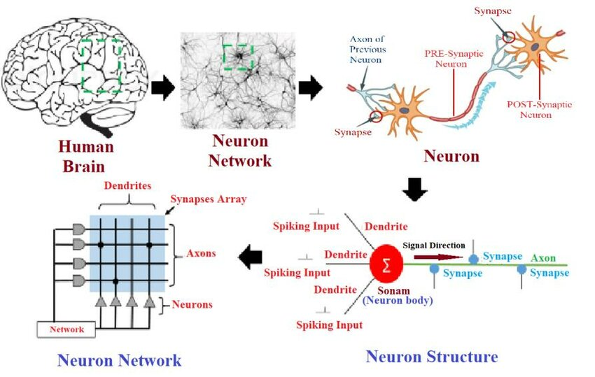 图片[11]-DeepMind科学家惊人预测：AGI在2028年实现，大规模失业要来了-AI Express News