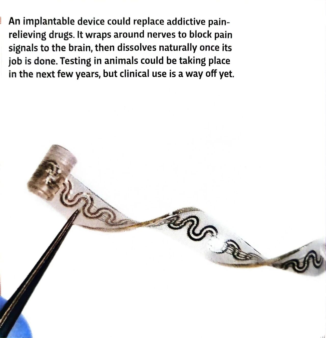 图片[11]-英美孩子学科学，竟然都靠BBC这本“稀奇古怪”的杂志？-AI Express News