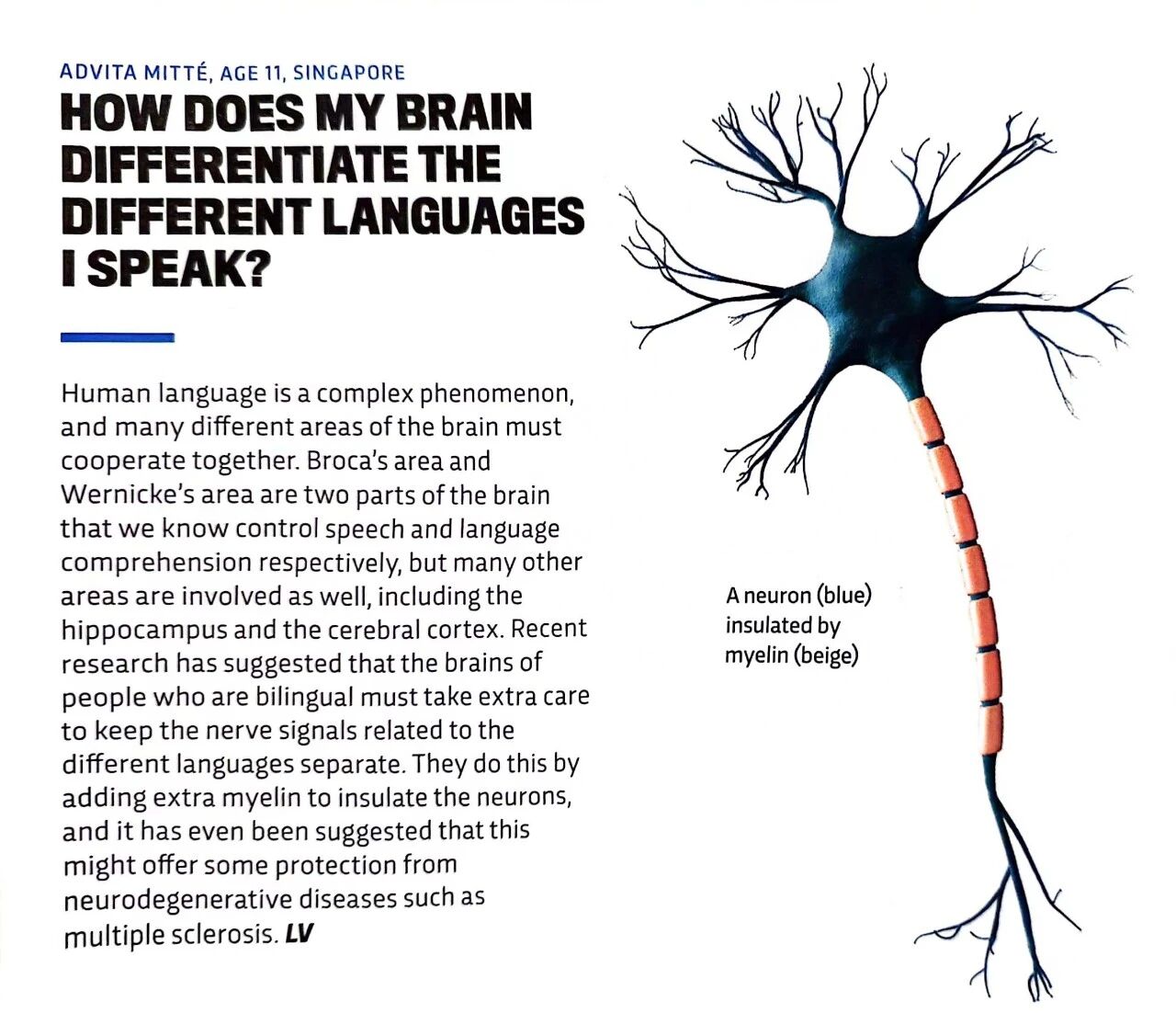 图片[14]-英美孩子学科学，竟然都靠BBC这本“稀奇古怪”的杂志？-AI Express News