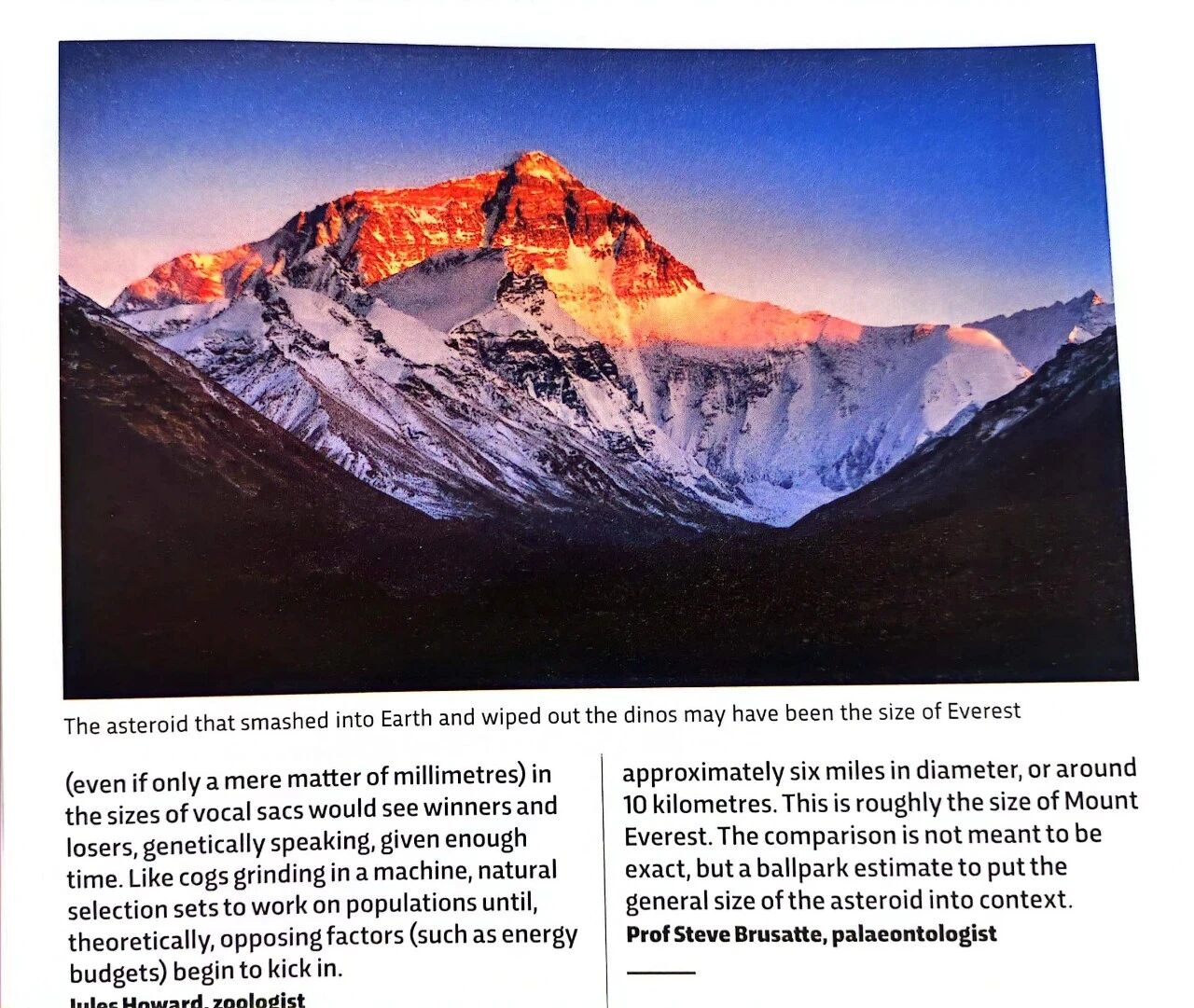 图片[20]-英美孩子学科学，竟然都靠BBC这本“稀奇古怪”的杂志？-AI Express News