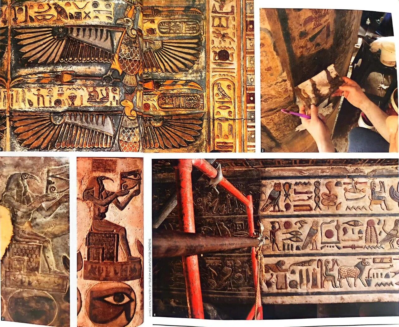 图片[21]-英美孩子学科学，竟然都靠BBC这本“稀奇古怪”的杂志？-AI Express News