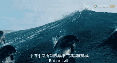 图片[4]-不愧是孩子必看的5部神级纪录片，知识暴涨，格局炸裂！-AI Express News