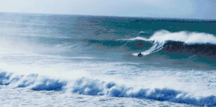 图片[5]-不愧是孩子必看的5部神级纪录片，知识暴涨，格局炸裂！-AI Express News