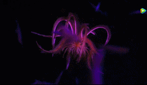 图片[7]-不愧是孩子必看的5部神级纪录片，知识暴涨，格局炸裂！-AI Express News