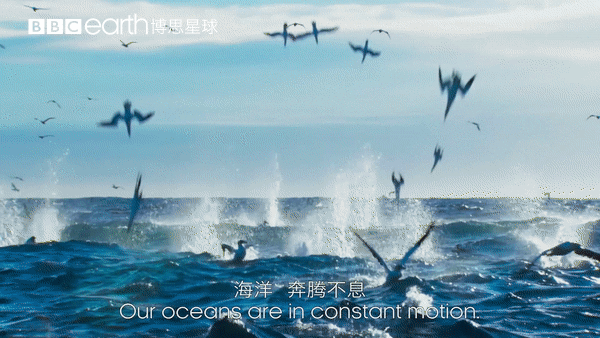 图片[8]-不愧是孩子必看的5部神级纪录片，知识暴涨，格局炸裂！-AI Express News