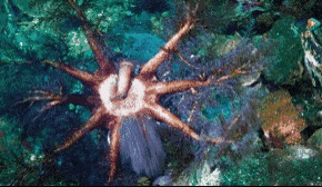 图片[9]-不愧是孩子必看的5部神级纪录片，知识暴涨，格局炸裂！-AI Express News