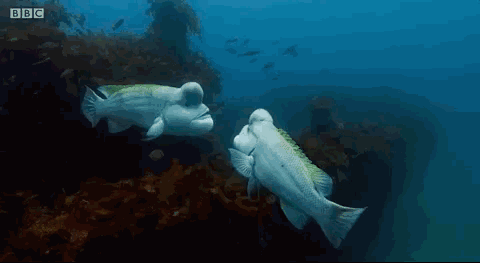 图片[10]-不愧是孩子必看的5部神级纪录片，知识暴涨，格局炸裂！-AI Express News