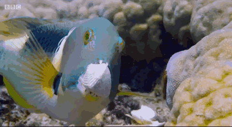 图片[12]-不愧是孩子必看的5部神级纪录片，知识暴涨，格局炸裂！-AI Express News