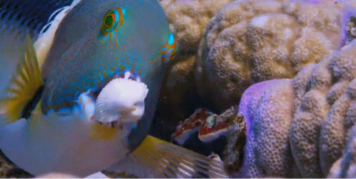 图片[13]-不愧是孩子必看的5部神级纪录片，知识暴涨，格局炸裂！-AI Express News