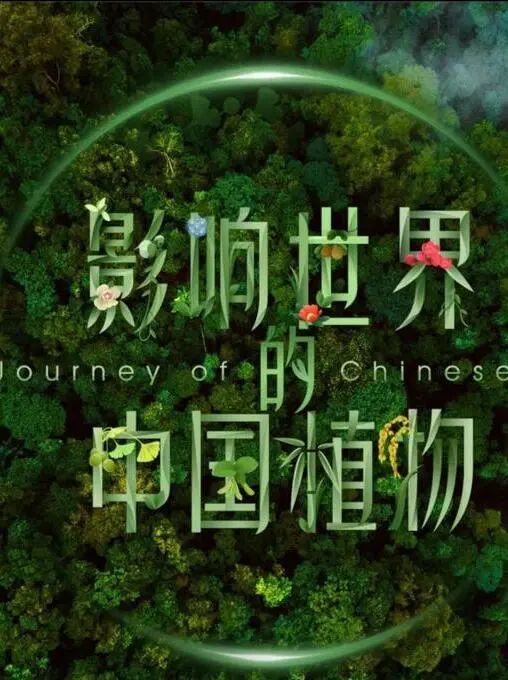 图片[16]-不愧是孩子必看的5部神级纪录片，知识暴涨，格局炸裂！-AI Express News