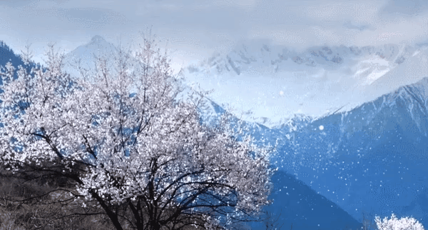 图片[18]-不愧是孩子必看的5部神级纪录片，知识暴涨，格局炸裂！-AI Express News