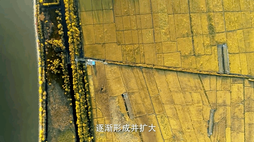 图片[19]-不愧是孩子必看的5部神级纪录片，知识暴涨，格局炸裂！-AI Express News