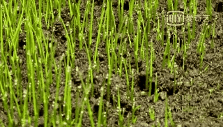 图片[20]-不愧是孩子必看的5部神级纪录片，知识暴涨，格局炸裂！-AI Express News