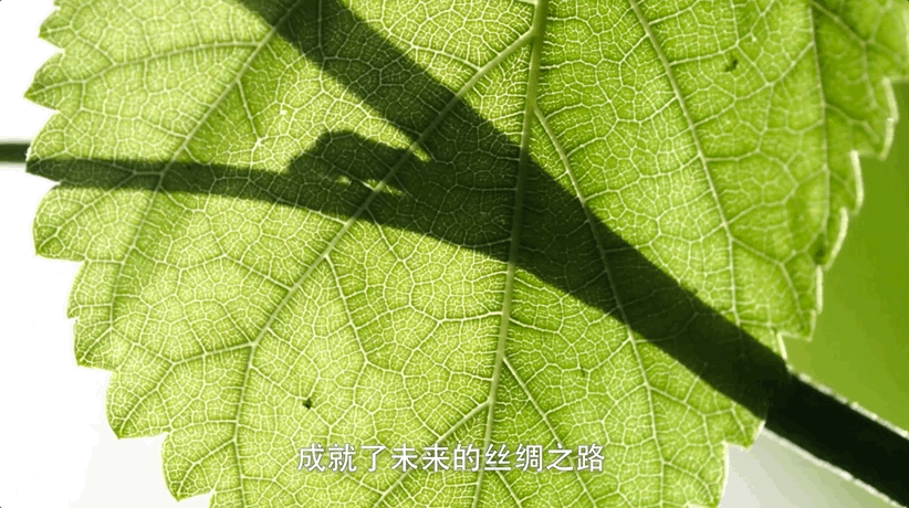 图片[21]-不愧是孩子必看的5部神级纪录片，知识暴涨，格局炸裂！-AI Express News