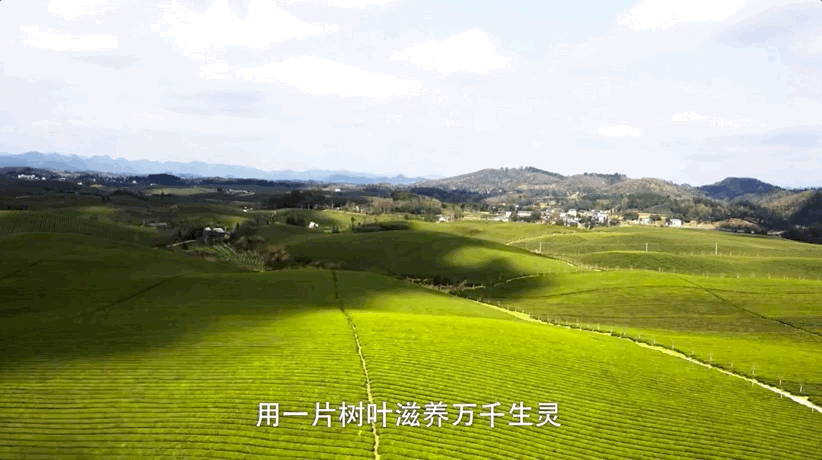 图片[24]-不愧是孩子必看的5部神级纪录片，知识暴涨，格局炸裂！-AI Express News