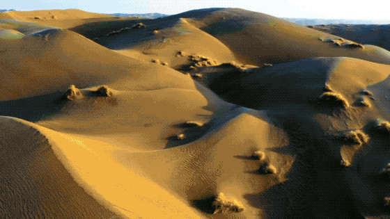 图片[25]-不愧是孩子必看的5部神级纪录片，知识暴涨，格局炸裂！-AI Express News