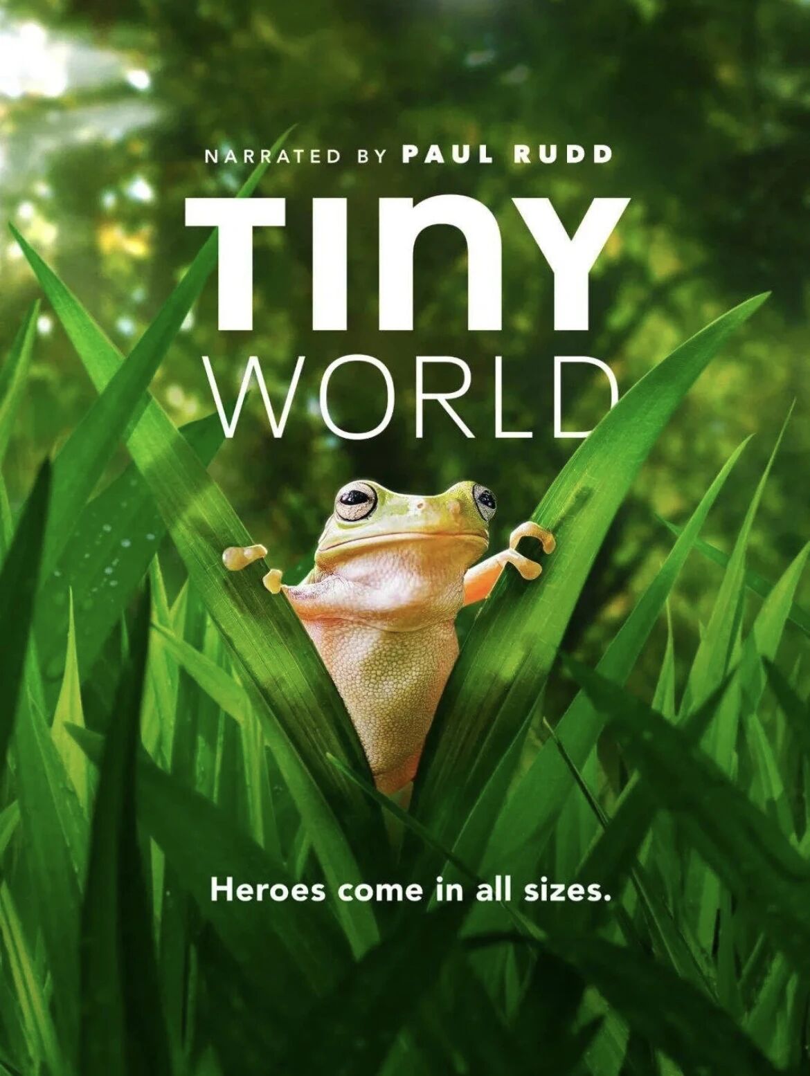 图片[26]-不愧是孩子必看的5部神级纪录片，知识暴涨，格局炸裂！-AI Express News