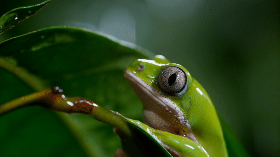 图片[27]-不愧是孩子必看的5部神级纪录片，知识暴涨，格局炸裂！-AI Express News