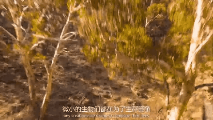 图片[29]-不愧是孩子必看的5部神级纪录片，知识暴涨，格局炸裂！-AI Express News