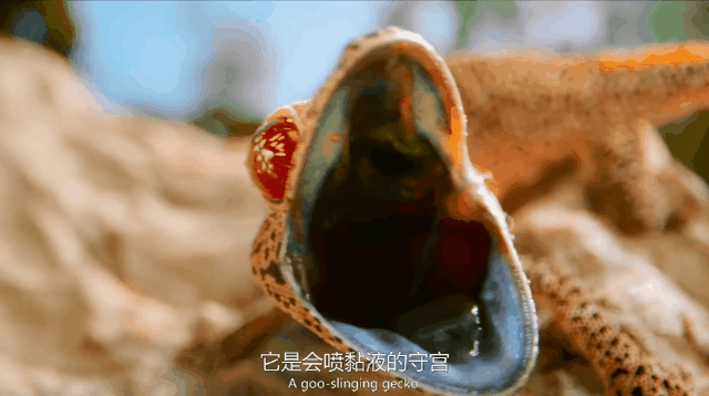 图片[34]-不愧是孩子必看的5部神级纪录片，知识暴涨，格局炸裂！-AI Express News