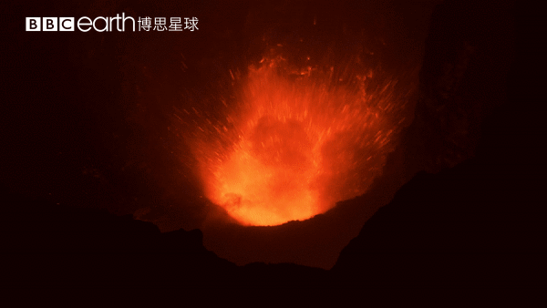 图片[47]-不愧是孩子必看的5部神级纪录片，知识暴涨，格局炸裂！-AI Express News