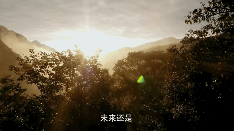 图片[52]-不愧是孩子必看的5部神级纪录片，知识暴涨，格局炸裂！-AI Express News