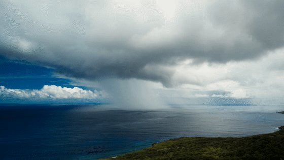 图片[53]-不愧是孩子必看的5部神级纪录片，知识暴涨，格局炸裂！-AI Express News
