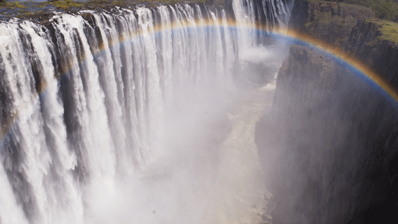 图片[54]-不愧是孩子必看的5部神级纪录片，知识暴涨，格局炸裂！-AI Express News